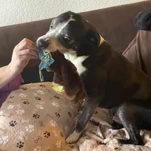 Meet your Posher, Kendra